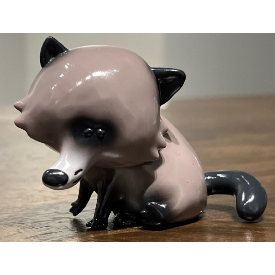 浣熊 RACCOON